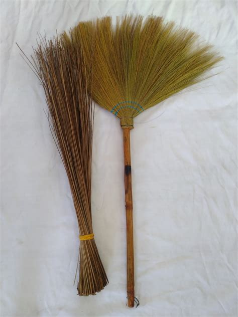 english of walis tambo|I Tested the Incredible Benefits of 'Walis Tambo' in English: My .
